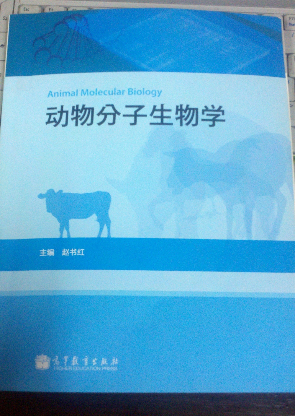 動(dòng)物分子生物學(xué) 曬單實(shí)拍圖