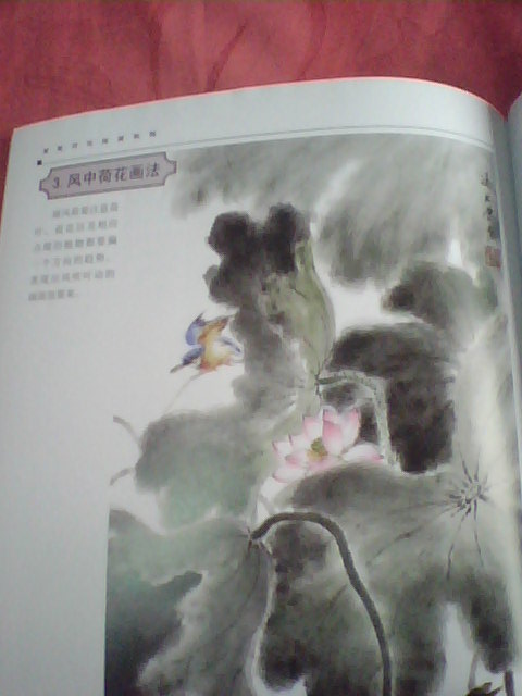 金牌美術(shù)基礎教材系列：寫(xiě)意荷花繪畫(huà)教程 曬單實(shí)拍圖