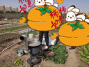 邁高登 農(nóng)村柴火灶家用燒木柴野營柴火爐大鍋臺爐子戶外灶臺移動地鍋 43cm+2.7厚+3爐圈+雙耳鍋+(爐具) 曬單實拍圖