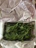 農大姐妹順豐速運 新鮮冰菜 冰草  新鮮蔬菜現摘冰葉 冰花 即食沙拉菜 4斤 曬單實拍圖