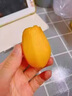 京鮮氣四川米易甜枇杷 當季大五星枇杷當季特產(chǎn)水果孕婦酸甜琵琶果禮盒 精選果2斤【無(wú)禮盒】 曬單實(shí)拍圖
