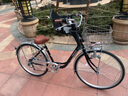 TI-MOUNT日本進口OGK單車兒童安全座椅自行車前置嬰寶娃孩坐墊位(退貨扣40 黑灰色(02) 曬單實拍圖