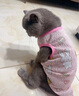 InnoPet貓咪衣服夏季薄款舒適透氣防掉毛布偶暹羅藍(lán)貓寵物服飾 綠底小狗 M(建議6-7斤) 曬單實(shí)拍圖
