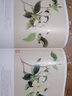 畢彰花鳥畫進階(白描工筆沒骨)/中國美術(shù)學院名師畫譜 曬單實拍圖