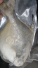 環(huán)球水產(chǎn) 冷凍南海二去金鯧魚(yú)900g2條 去鰓去臟 深海魚(yú)生鮮魚(yú)類(lèi)  家庭聚餐 曬單實(shí)拍圖