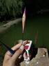 黃金眼蘆葦電子漂高靈敏日夜兩用夜光漂醒目組合浮漂夜釣鯽魚(yú)鯉魚(yú)草魚(yú)標(biāo) 黃金眼蘆葦電子漂DL-06(CR425) 1號(hào)一支 曬單實(shí)拍圖