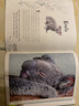 現(xiàn)貨 DK典藏博物館 圖解百科有趣的動物集 An Anthology of Intriguing Animals 英文原版進(jìn)口圖書 動物科普百科攝影集 DK少兒百科科普 精裝收藏 曬單實(shí)拍圖