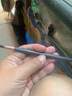 SHESSTILL詩婷眉筆SHESSTILL木質(zhì)方芯硬芯眉筆一字眉鴨嘴型化妝筆畫眉 黑灰色05#代削 曬單實拍圖