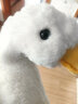 藍詩(shī)諾仿真鴨子毛絨玩具公仔可愛(ài)小黃鴨玩偶小鴨子玩具兒童生日節日禮物 仿真鴨子白色 30厘米 曬單實(shí)拍圖