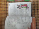 小笨熊 成語(yǔ)接龍游戲 彩圖注音版 掃碼有聲伴讀 成語(yǔ)接龍大全一二年級(jí)課外書(shū) 兒童故事書(shū)6-12歲(中國(guó)環(huán)境標(biāo)志產(chǎn)品 綠色印刷) 曬單實(shí)拍圖