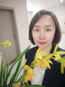 周六福（ZLF）  18K金鉆石耳釘女經(jīng)典四爪鑲鉆輕奢耳飾送女友禮物 耳釘（一對） 曬單實拍圖