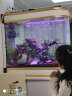 阿诺克 客厅鱼缸子弹头生态水族箱超白玻璃中大型养鱼缸鞋柜上门安装 金+白色 上过滤 长0.8米缸+柜(可做鞋柜) 实拍图