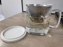 FU+玻璃杯茶水分離泡茶杯子男女家用高顏值辦公杯禮盒裝茶蓋濾網(wǎng)水杯 白色-【高山流水】 550ml 曬單實(shí)拍圖