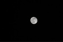 騰龍（Tamron）官方旗艦店A067Z 50-400mm F/4.5-6.3防抖Z卡口超長焦全畫幅微單鏡頭50-400z騰龍50400z 尼康Z卡口 官方標(biāo)配【下單即送騰龍UV濾鏡大禮包+雙肩包】 曬單實拍圖