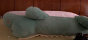 超软大号恐龙毛绒玩具抱枕靠垫午睡枕长条枕陪你睡觉床上懒人趴枕头玩偶公仔 软体绿色 长约1.5米 实拍图