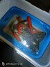 穿透王爆小鯽魚(yú)餌料小藥瓜子鯽麻鯽白條魚(yú)餌添加劑野釣魚(yú)小藥黑坑誘魚(yú)劑 爆小鯽 60ml【瓜片鯽紅鯽麻鯽】 曬單實(shí)拍圖