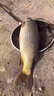 魚(yú)誘果酸釣魚(yú)小藥野釣黑坑池塘魚(yú)餌釣魚(yú)小藥強效誘魚(yú)添加劑全套開(kāi)口劑 3瓶裝【3秒魚(yú)咬鉤】95%買(mǎi)家選擇 釣魚(yú)小藥強效誘魚(yú)添加劑 曬單實(shí)拍圖