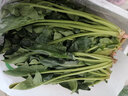 有機(jī)菠菜3斤五斤 有機(jī)認(rèn)證新鮮自然無農(nóng)殘寶寶菜泥食材之星基地發(fā) 3斤裝 曬單實(shí)拍圖
