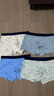 邦多拉兒童內褲男大童平角內褲中學(xué)生男孩四角褲棉質(zhì)10-15歲青少年內褲 4條裝-小鳥(niǎo)款 180 /2XL【115-140斤】 曬單實(shí)拍圖