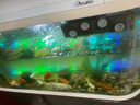 魚(yú)之眼魚(yú)缸燈led燈防水造景燈水族燈照明燈氣泡條燈管水族箱增氧氣泡燈 100cm 七彩漸變款 不帶氧氣泵 曬單實(shí)拍圖