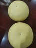 源憶大文旦柚子浙江臺(tái)州玉環(huán)楚門(mén)應(yīng)當(dāng)季新鮮水果當(dāng)季白心時(shí)令柚子 15斤 精選老樹(shù)大果 曬單實(shí)拍圖