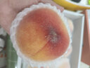 水蜜桃正宗無(wú)錫白鳳水蜜桃 新鮮水果純甜大桃子 8枚禮盒裝(單果4-5兩左右) 曬單實(shí)拍圖
