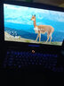 Alienware外星人筆記本電腦二手高端電競游戲本M15 M17 X14 X15 X17大屏吃雞 1：15R2/6代i7/970/16G/512G 9成新 曬單實拍圖