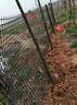 加厚塑料網(wǎng)格防護養殖養雞圍欄網(wǎng)玉米網(wǎng)圍欄安全網(wǎng)防護網(wǎng)格護欄圍 1米高--15米長(cháng) 2.0毫米厚+3.6厘米孔抗凍抗曬壽命10年 曬單實(shí)拍圖