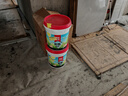 雨虹防水 彩色柔韌型防水涂料 廚房衛生間防水涂料 墻地面通用18kg 曬單實(shí)拍圖
