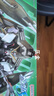 萬代（BANDAI）Gundam高達拼插拼裝模型 HG 1/144 SEED DESTINY敢達七夕禮物 禁斷 5057914 曬單實拍圖