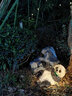 半語太陽能兔子燈戶外發(fā)光兔子防水仿生動(dòng)物燈公園造型燈庭院裝飾燈 熊貓 B款太陽能-暖光【一只】 曬單實(shí)拍圖