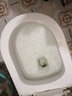 皎潔坐便器馬桶疏通劑強(qiáng)力溶解堵塞神器管道通下水道廁所專(zhuān)用堵了專(zhuān)用 500g 1瓶 曬單實(shí)拍圖