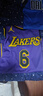 耐克NBA官方-湖人隊勒布朗詹姆斯男球衣速干籃球服夏季DO9530-505 湖人/詹姆斯速干球衣（紫色） XL 曬單實(shí)拍圖