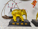天祥緣銅大象擺件一對黃銅制吸水象招客廳玄關(guān)門(mén)口財直鼻子朝下大號銅象 原創(chuàng  )設計 15號吸水象一對 曬單實(shí)拍圖
