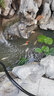 森森（SUNSUN）森森魚(yú)池水循環(huán)系統魚(yú)池過(guò)濾器裝置戶(hù)外錦鯉池凈化大型池塘過(guò)濾器 CPA-5000 含水泵全套電動(dòng)清洗 曬單實(shí)拍圖