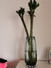 百合花瓶簡(jiǎn)約豎棱玻璃花瓶創(chuàng  )意彩色透明百合花器客廳大號水養插花 31高款(暗夜綠) 曬單實(shí)拍圖