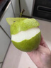 GANXIAN千脆蜜梨【順豐】青皮脆冠梨禮盒 當(dāng)季新鮮水果 酥脆多汁細(xì)膩化渣 6.5斤 精選禮盒裝 曬單實(shí)拍圖