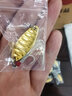樂(lè )路經(jīng)典款亮片路亞餌金屬鐵板片魚(yú)餌血槽羽毛鉤假餌專(zhuān)殺翹嘴鱸魚(yú) 7/7.5g隨機*10只平振血槽羽毛鉤金色 曬單實(shí)拍圖