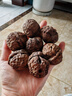 譯蒙之味【順豐】四川大涼山新鮮濕核桃去青皮核桃薄皮綠皮現摘生嫩山黑桃 凈重9斤【核桃?jiàn)A+網(wǎng)兜+彩箱】 曬單實(shí)拍圖