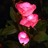 Komebrite 太陽能燈庭院燈花園別墅裝飾燈仿真玫瑰花燈戶外防水插地草坪燈 太陽能3頭【2只裝】藍玫瑰 太陽能插地草坪燈 曬單實拍圖