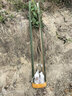 君揚無(wú)核A4妃子笑荔枝樹(shù)苗桂味糯米糍白糖罌雞嘴荔糯米糍荔枝王荔枝苗 白糖罌荔枝苗 三年苗80-100cm高(帶土帶葉) 曬單實(shí)拍圖