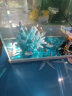 HIDOM鱼缸造景仿真珊瑚水族箱造景鱼缸装饰品摆件假山贝壳造景石头用品 天蓝石350g 实拍图