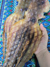 北海印象【北海館】章魚干250g淡曬八爪魚海鮮干貨海產(chǎn)品新鮮下奶滋補煲湯 章魚干250克 曬單實拍圖