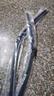 適用大眾途觀(guān)雨刮器原廠(chǎng)途觀(guān)雨刷原裝2010-11-12-13-14-15-16-17年款雨刮片膠條 途觀(guān)（10-17款）前刷 曬單實(shí)拍圖
