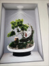 互佳文三联立体高清贴 新款3D效果盆栽贴画餐厅客厅三联装饰画过道 白框3D蝴蝶兰 一幅宽20x高30cm一套三幅 晒单实拍图