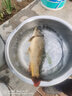 益山益水釣甲魚針 排鉤線組甲魚鉤成品套裝王八鉤黃鱔鉤捕甲魚工具直鉤 5個(gè)裝（中號鉤） 曬單實(shí)拍圖