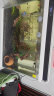 森森（SUNSUN）鱼缸超白玻璃金鱼缸客厅桌面家用水族箱带鱼缸灯增氧水泵 48cm长鱼缸+假山景ZJ-46（内置棉和滤材） 实拍图