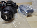 尼康（Nikon）D7000 D7100 D7200 D7500半畫(huà)幅 中端 二手單反相機 95新 D7000+18-55【套機】 95成新 曬單實(shí)拍圖