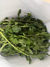 鹿凌青東北新鮮臭菜農(nóng)家自種蘸醬小菜新鮮蔬菜大葉臭菜梗東北蘸醬菜 臭菜【500g】 曬單實拍圖