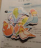 【無贈(zèng)品包郵】第一次養(yǎng)鸚鵡就戀愛了 鸚鵡飼養(yǎng)圖鑒+第一次養(yǎng)鸚鵡就懂它 鸚鵡行為圖鑒 品種介紹日常養(yǎng)護(hù)玩耍訓(xùn)練世界鳥類認(rèn)知鳥類科普鑒賞圖鑒大全書籍 第一次養(yǎng)鸚鵡就戀愛了：鸚鵡飼養(yǎng)圖鑒 定價(jià)68 曬單實(shí)拍圖